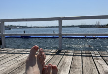 Mittagspause mit Sonne und Schwimmen in der Förde.