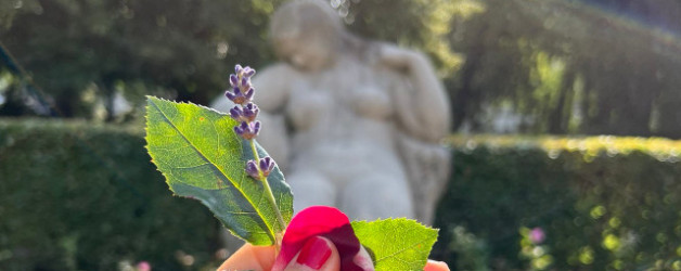 Mit dem Schreiben des Sommerkrimis beginnen: Rosengarten im Schrevenpark